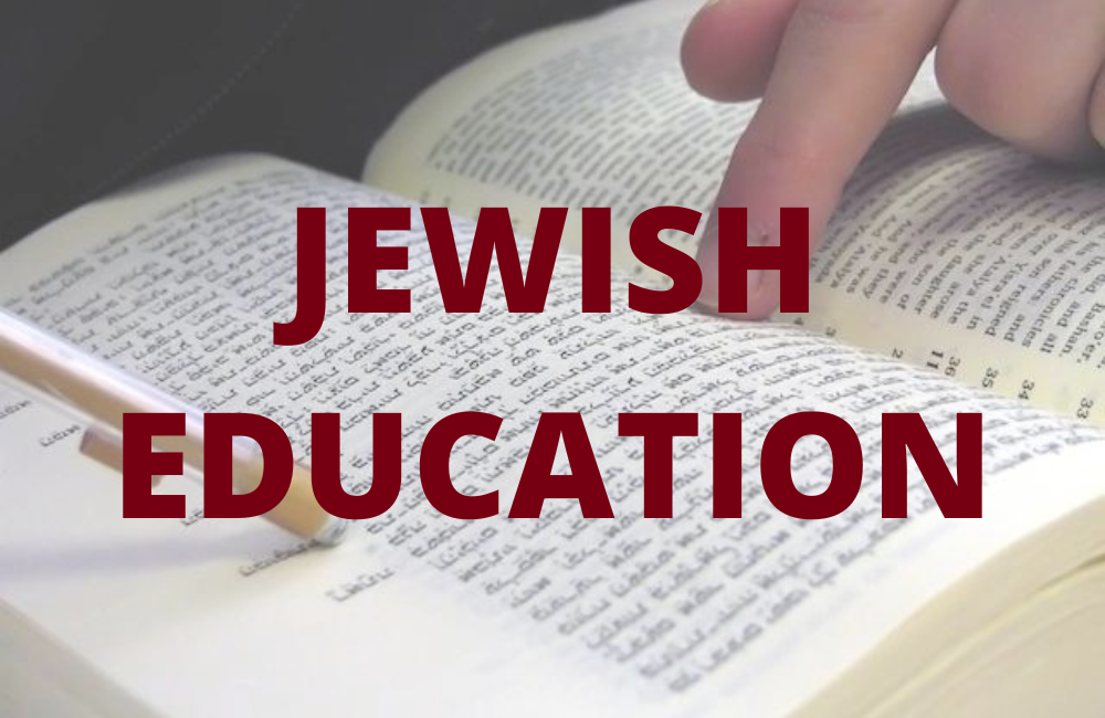 DOVID - WEBSITE (10)