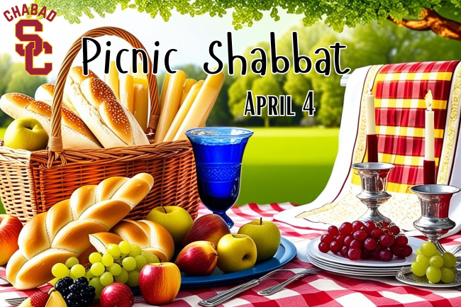 Picnic Shabbat